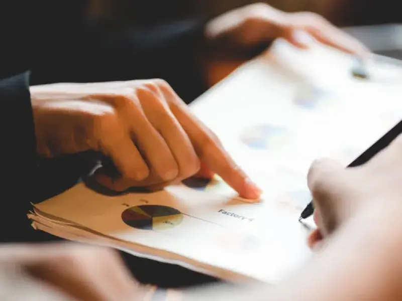 Professional Payment Processing Services process